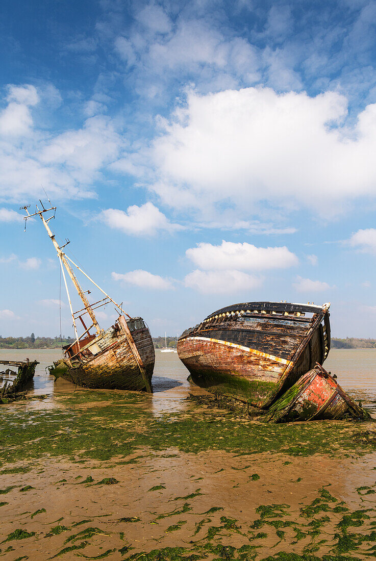 Boat graveyard in Pin Mill,Ipswich,Suffolk,England,United Kingdom,Europe