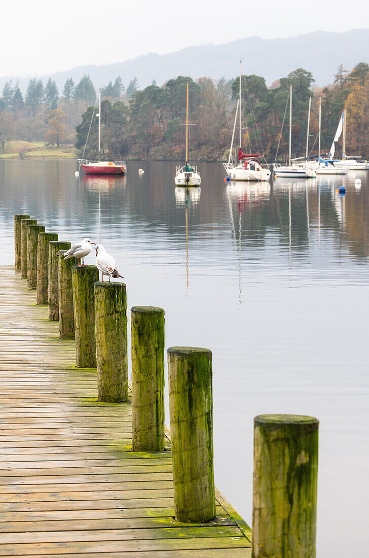 A quiet morning at Ambleside Pier,Windermere,Lake District National Park,UNESCO World Heritage Site,Cumbria,England,United Kingdom,Europe