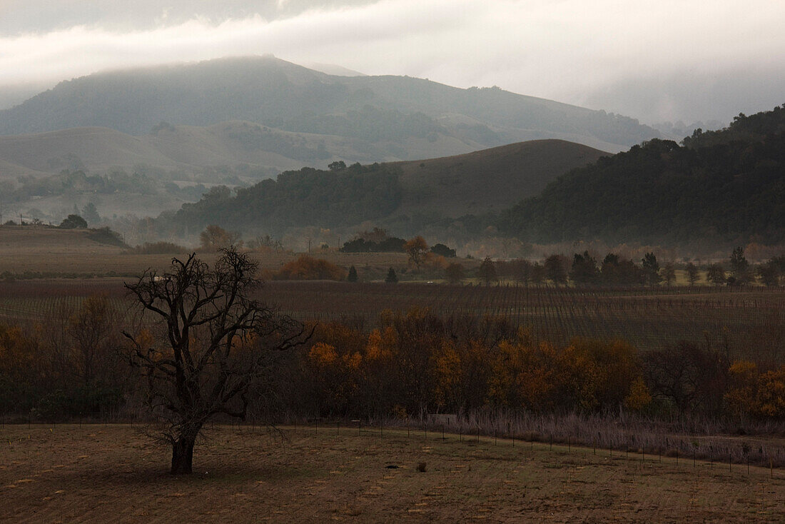Übersicht über Felder und Hügel, Santa Ynez Valley, Südkalifornien, USA
