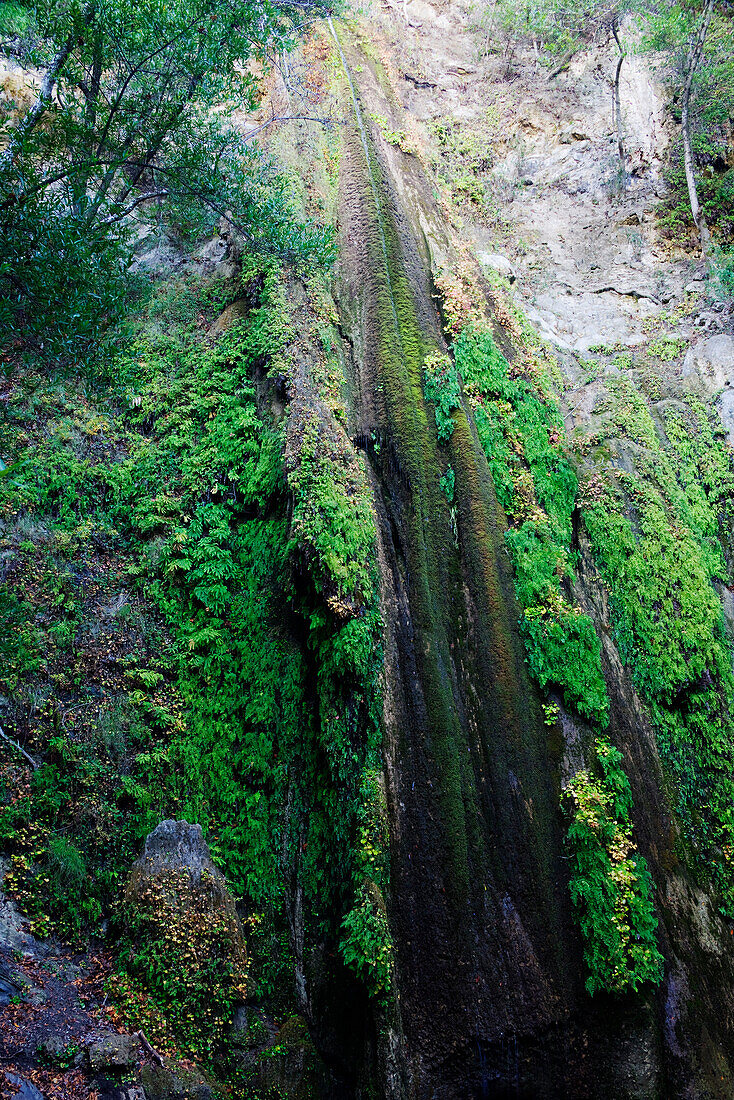 Nojoqui Falls,Southern California,USA