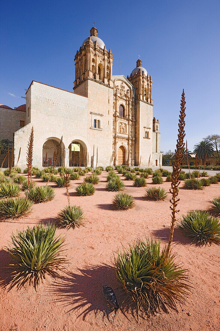 Iglesia Santo Domingo,Oaxaca,Mexico