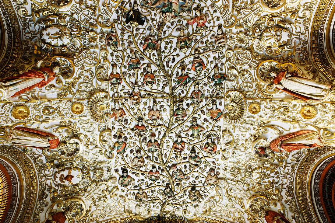 Ornate Ceiling,Iglesia Santo Domingo,Oaxaca,Mexico