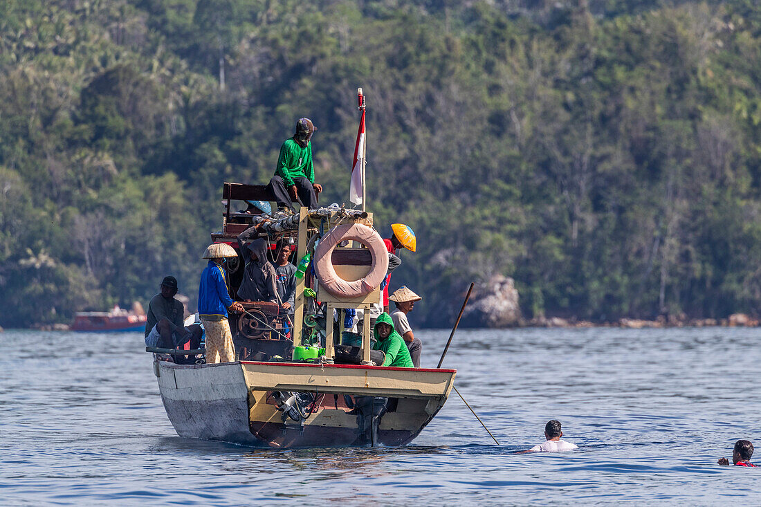 Thunfischfischer beim Einholen eines Ringwadennetzes, Insel Bangka, vor der nordöstlichen Spitze von Sulawesi, Indonesien, Südostasien, Asien