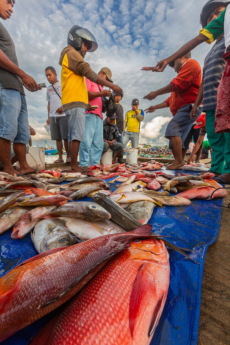 Vendors selling fresh fish at the fish market in Sorong,the largest city of the Indonesian province of Southwest Papua,Indonesia,Southeast Asia,Asia