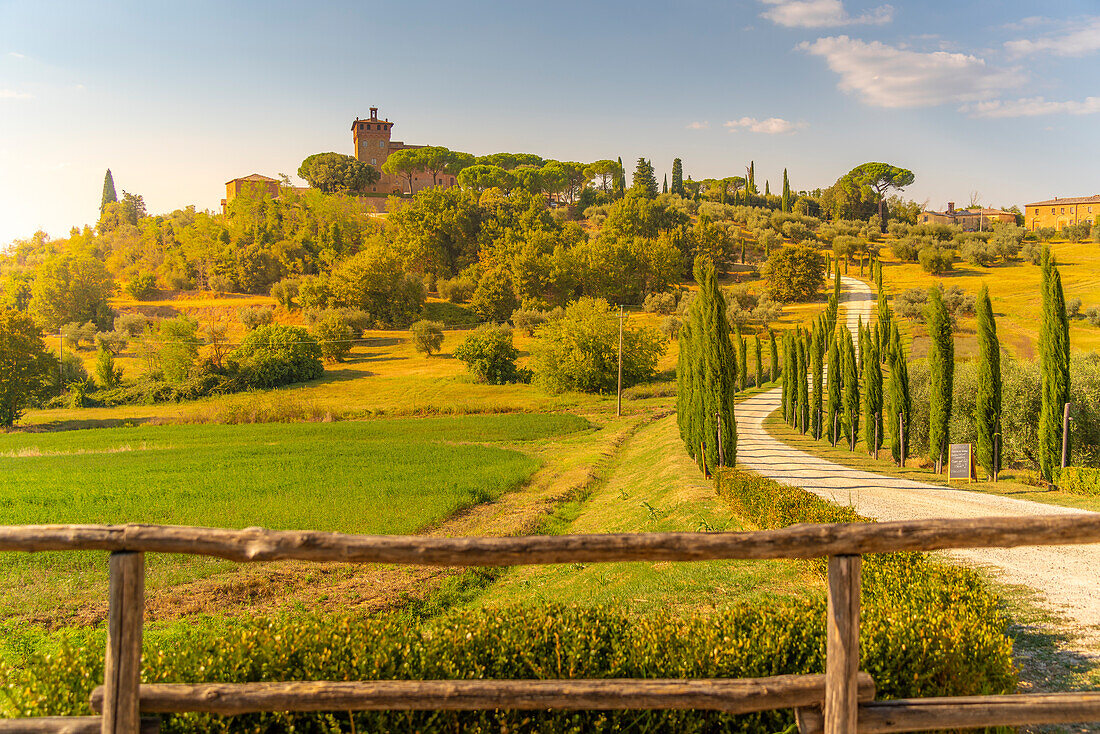 Blick auf eine kurvenreiche Straße und Zypressen, die zum Palazzo Massaini führen, in der Nähe von Pienza, Toskana, Italien, Europa