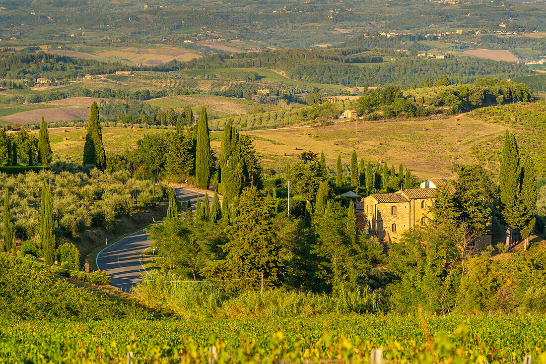 Blick auf Schloss und Weinberge bei San Gimignano, San Gimignano, Provinz Siena, Toskana, Italien, Europa