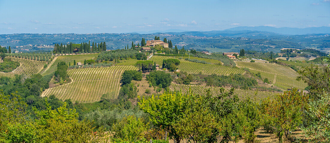 View of vineyards and landscape near San Gimignano,San Gimignano,Province of Siena,Tuscany,Italy,Europe