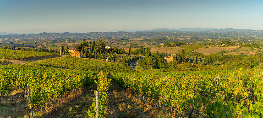 View of chaleau and vineyards near San Gimignano,San Gimignano,Province of Siena,Tuscany,Italy,Europe