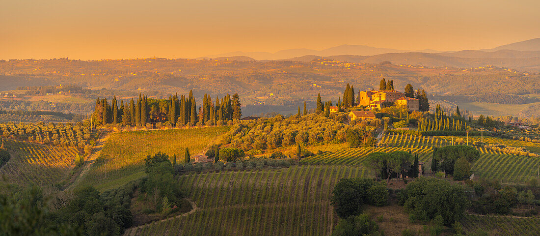View of vineyards and landscape near San Gimignano at sunset,San Gimignano,Province of Siena,Tuscany,Italy,Europe