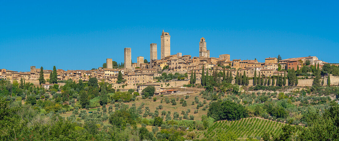 Blick auf Weinberge und San Gimignano, San Gimignano, Provinz Siena, Toskana, Italien, Europa
