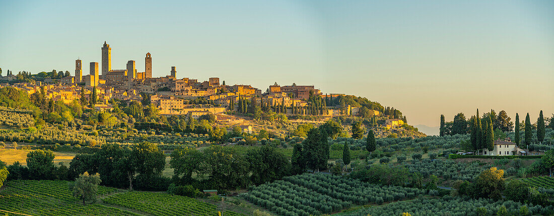 Blick auf Weinberge und San Gimignano bei Sonnenaufgang, San Gimignano, Provinz Siena, Toskana, Italien, Europa