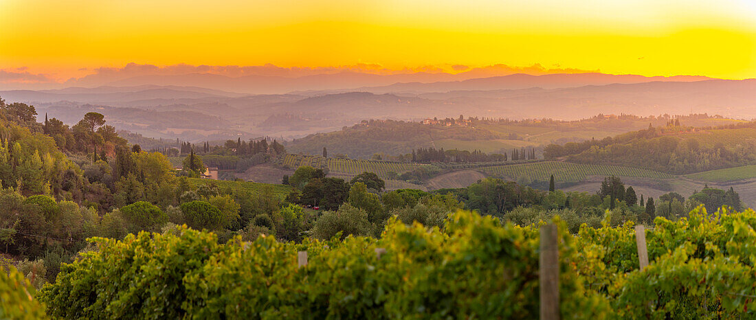 Blick auf Weinberge und Landschaft bei Sonnenaufgang in der Nähe von San Gimignano, San Gimignano, Provinz Siena, Toskana, Italien, Europa