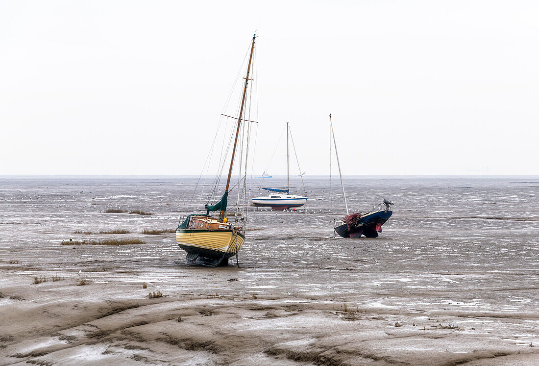 Gestrandete Boote bei Ebbe in Leigh on Sea, Essex, England, Vereinigtes Königreich, Europa