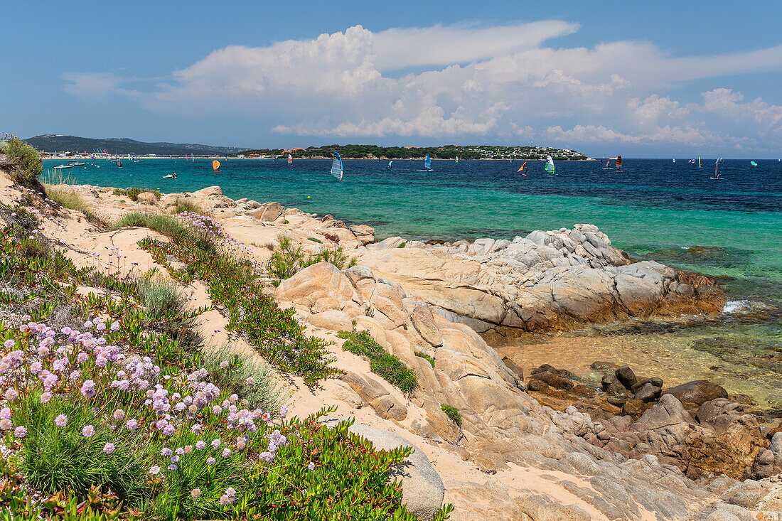 Kitesurfer,Bucht von Porto Pollo,Porto Puddu,Gallura,Sardinien,Italien,Mittelmeer,Europa