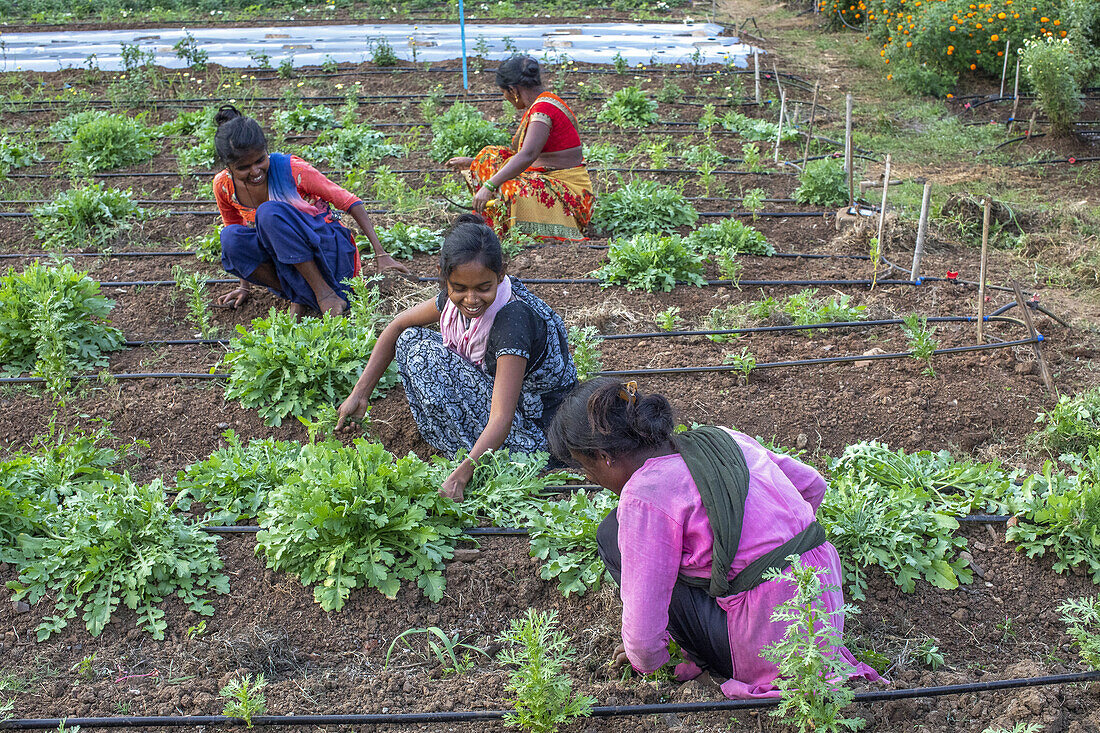 Gärtner bei der Arbeit in einem der Gärten des Ökodorfes Goverdan, Maharashtra, Indien, Asien