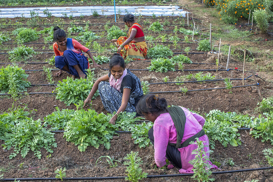 Gardeners at work in one of the gardens of Goverdan ecovillage,Maharashtra,India,Asia