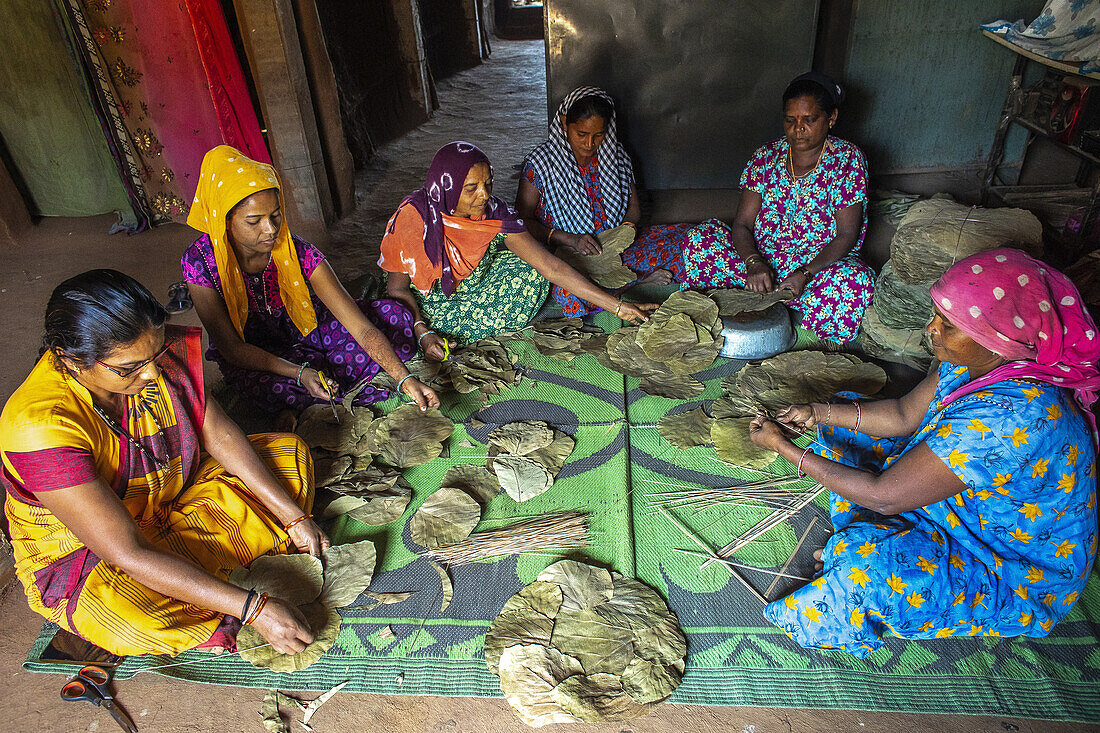 Gruppe von Adivasi-Frauen, die in einem Dorf im Narmada-Distrikt, Gujarat, Indien, Asien, Blattteller herstellen