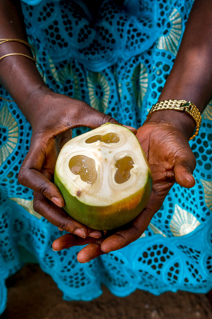 Frau hält Palmyra-Palmenfrüchte in Thiaoune, Senegal, Westafrika, Afrika