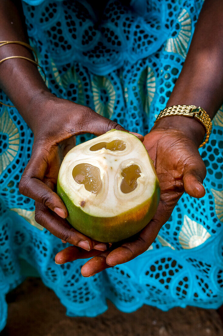 Woman holding palmyra palm tree fruit in Thiaoune,Senegal,West Africa,Africa