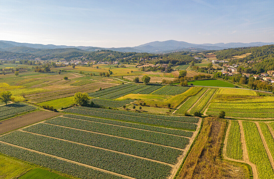 Blick von oben auf Ackerland und Landschaft bei Monterchi, Provinz Arezzo, Italien, Europa