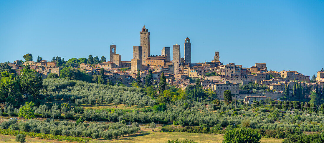 Blick auf Olivenbäume und Landschaft um San Gimignano,San Gimignano,Provinz Siena,Toskana,Italien,Europa