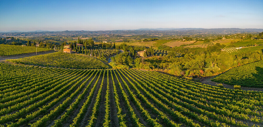 Blick von oben auf die Weinberge bei San Gimignano bei Sonnenaufgang, San Gimignano, Toskana, Italien, Europa
