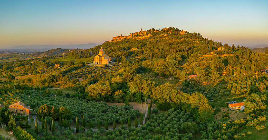 Elevated view of vineyards,olive groves and Montepulciano at sunset,Montepulciano,Tuscany,Italy,Europe