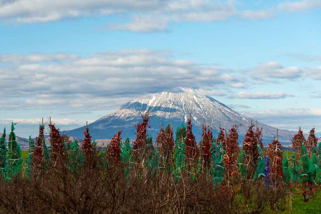 Yotei-zan (Berg Yotei) Vulkan von Hokkaido, landwirtschaftliche Landschaft vor dem Gipfel, Hokkaido, Japan, Asien
