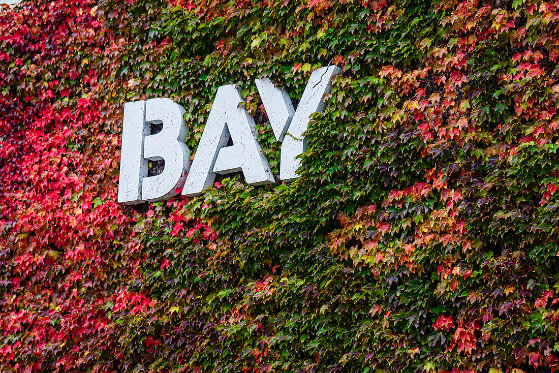 Hakodate Bay sign,Hakodate Historical Harbor Area,Hakodate,Hokkaido,Japan,Asia