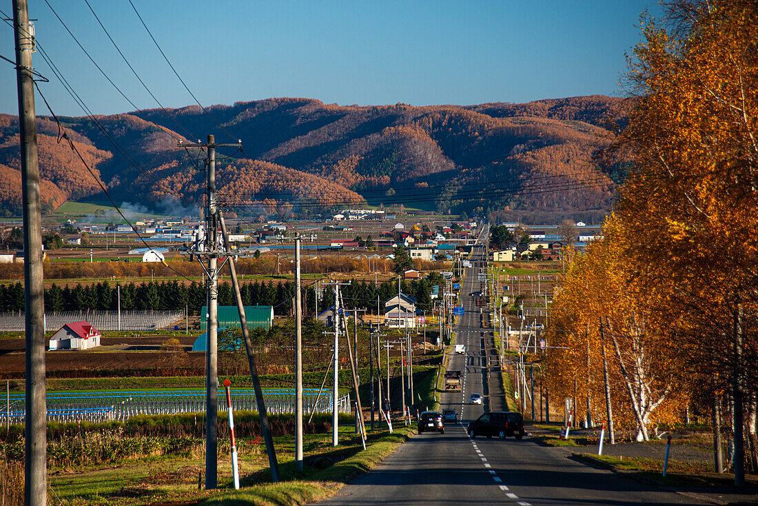 Ländliche Herbstlandschaft, Landstraße mit herbstlichen Waldhügeln, Hokkaido, Japan, Asien