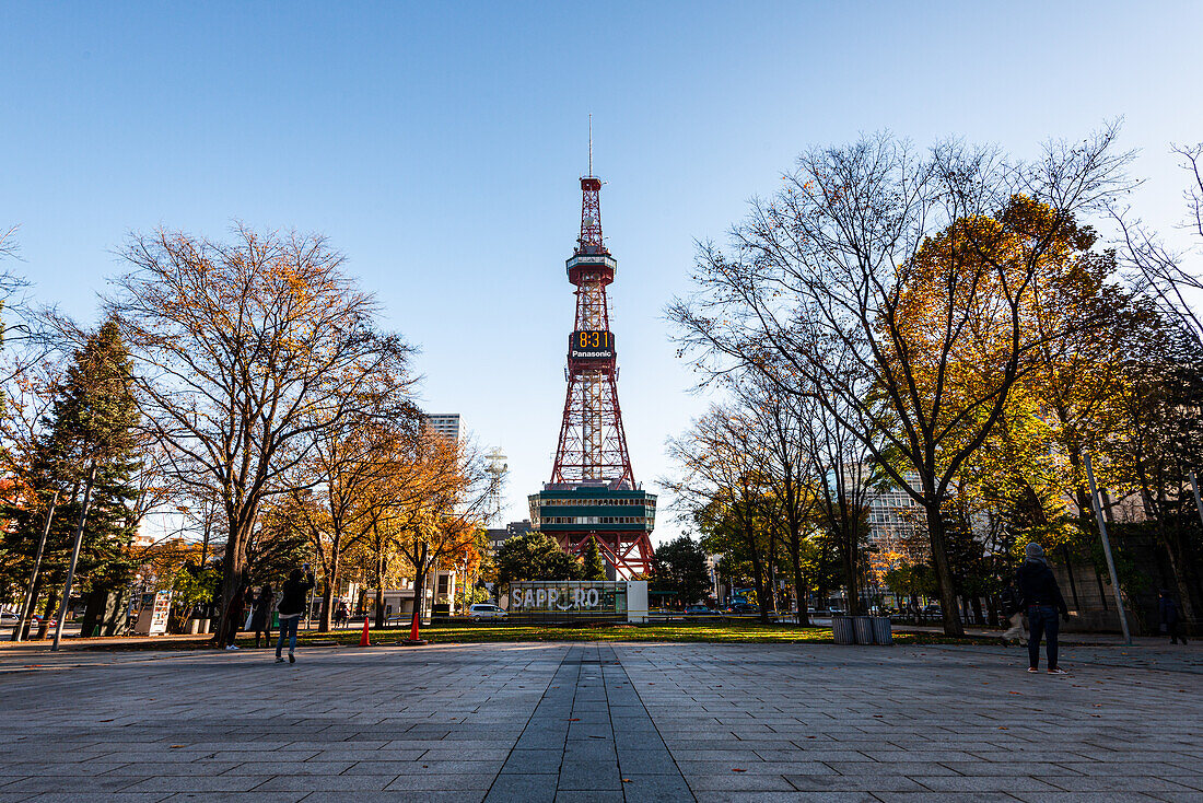Sapporo Tower umgeben von Herbstbäumen vor blauem Himmel, Sapporo, Hokkaido, Japan, Asien