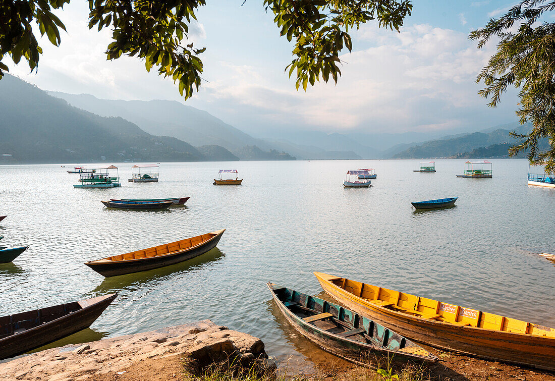 Colourful boats in front of Himalayan peaks on Lake Pokhara in Pokhara,Nepal,Asia