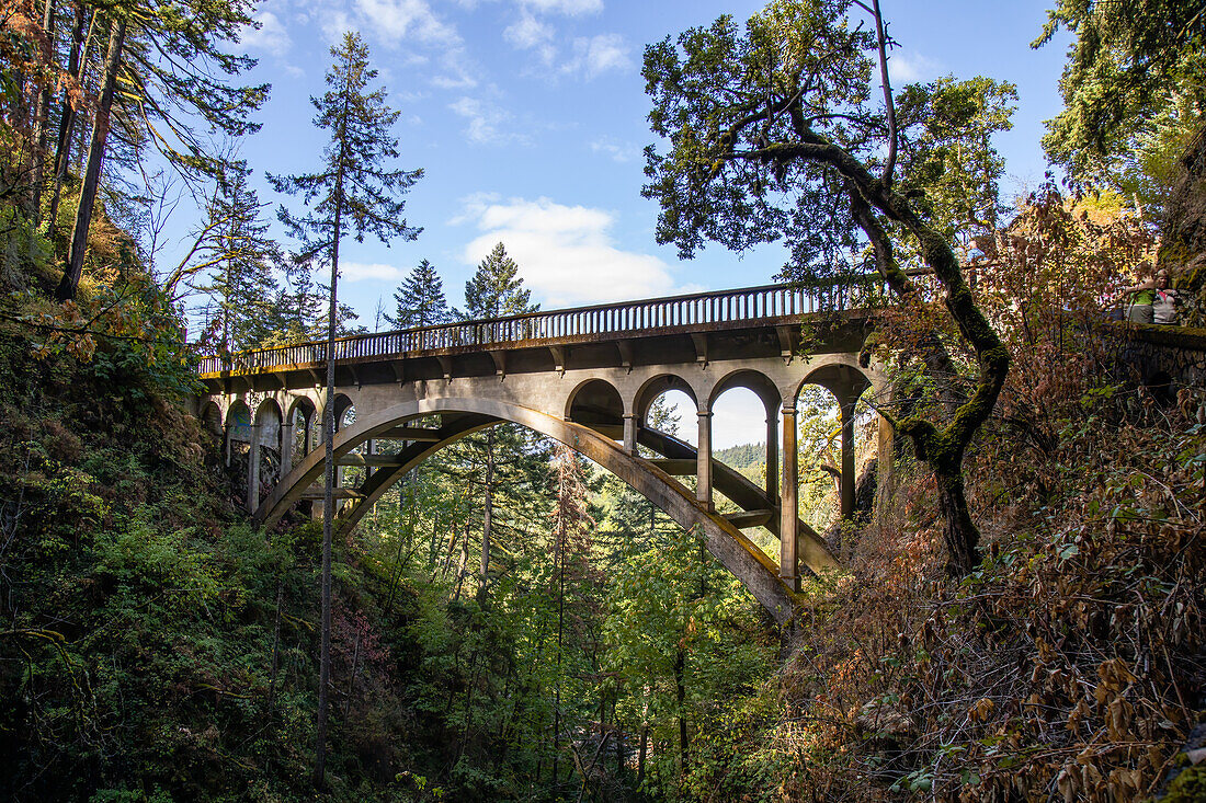 Brücke am Columbia River Highway,Oregon,Vereinigte Staaten von Amerika,Nordamerika