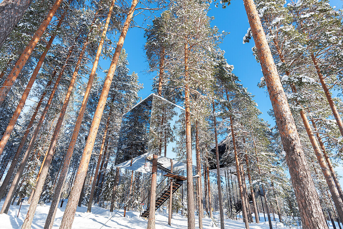 Würfelförmige Unterkunft in der eisigen Landschaft des borealen Waldes, Baumhotel, Harads, Lappland, Schweden, Skandinavien, Europa