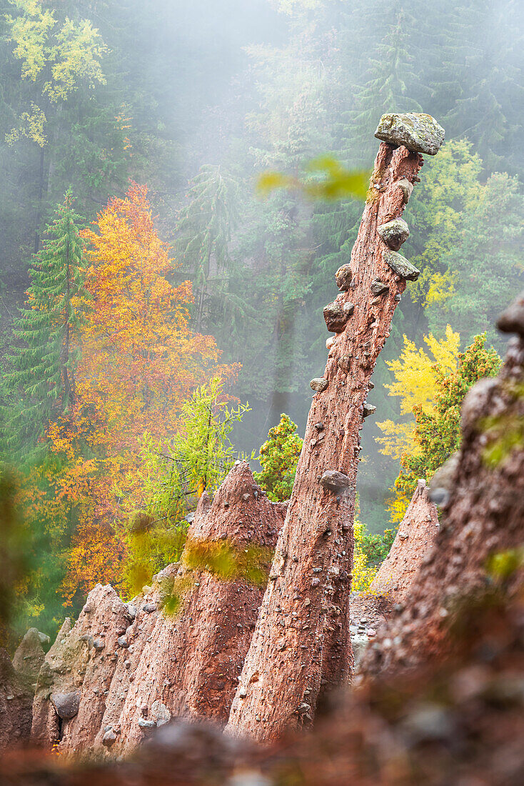 Die Erdpyramiden im Herbst, Longomoso, Renon (Ritten), Bozen, Südtirol, Italien, Europa