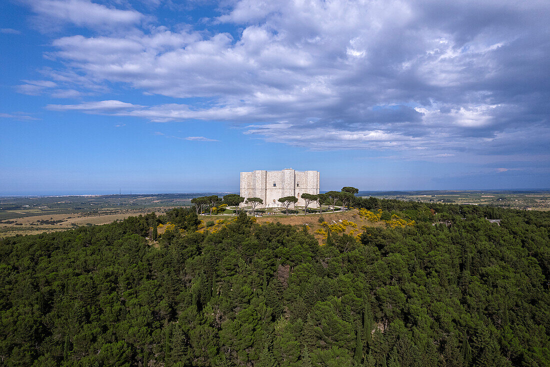 Castel del Monte on top of a hill surrounded by trees,aerial view,UNESCO World Heritage Site,Apulia,South of Italy,Italy,Europe