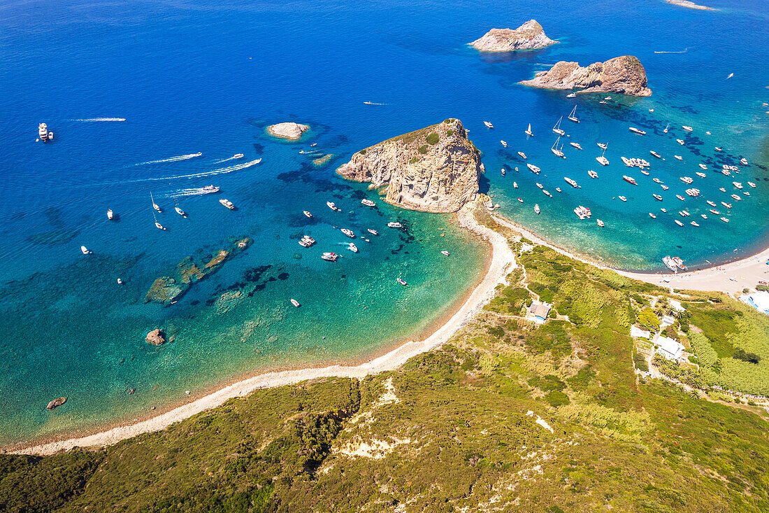 Luftaufnahme der Küste der wilden Insel Palmarola, Gemeinde Ponza, Mittelmeer, Pontinischer Archipel, Provinz Latina, Latium (Latium), Italien, Europa