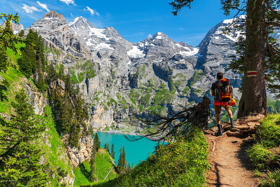 Rückansicht eines Wanderers, der auf dem Weg im Wald um den Oeschinensee steht, Oeschinensee, Kandersteg, Kanton Bern, Schweiz, Europa