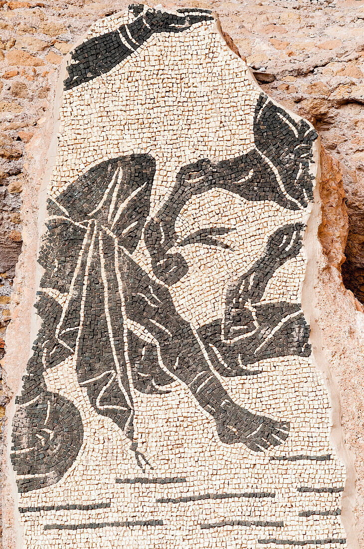 Mosaik,Caracalla-Thermen,UNESCO-Weltkulturerbe,Rom,Latium (Lazio),Italien,Europa
