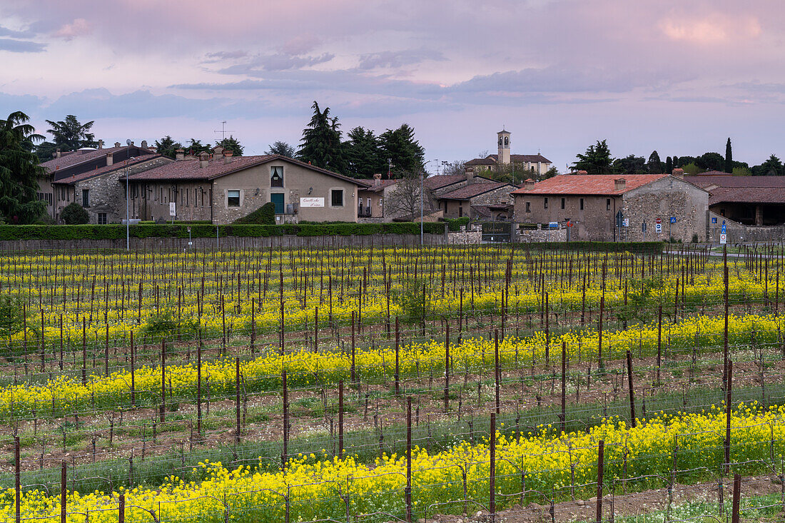 Landscape of Franciacorta region in Brescia province,Lombardy,Italy,Europe