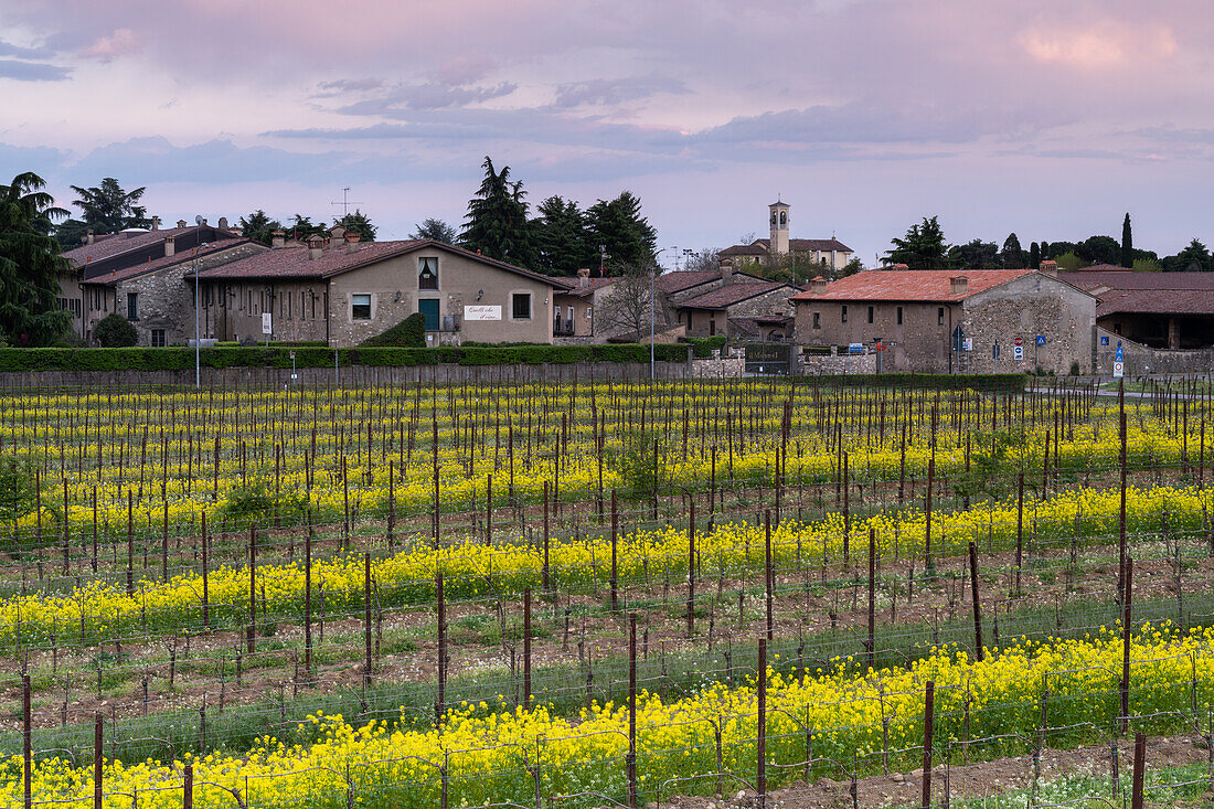 Landschaft in der Region Franciacorta in der Provinz Brescia,Lombardei,Italien,Europa