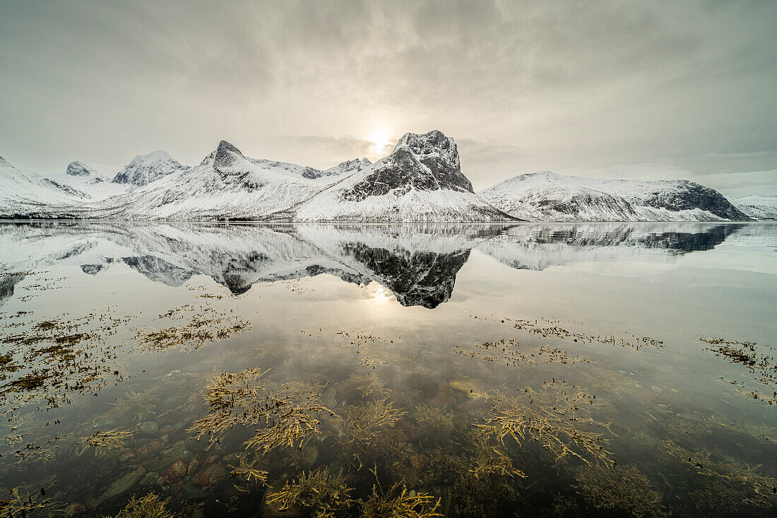 Mountain reflections in fjord,Senja,Troms og Finnmark,Norway,Scandinavia,Europe