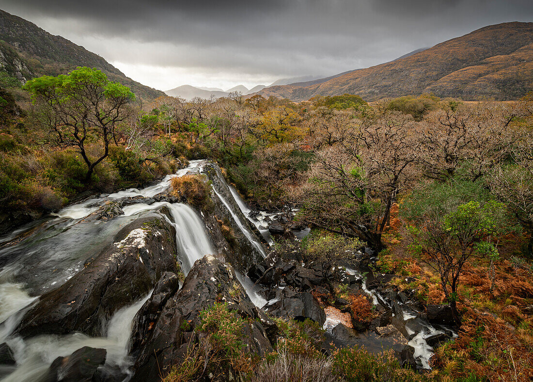 Wasserfall und Wald,Killarney National Park,County Kerry,Munster,Republik Irland (Eire),Europa