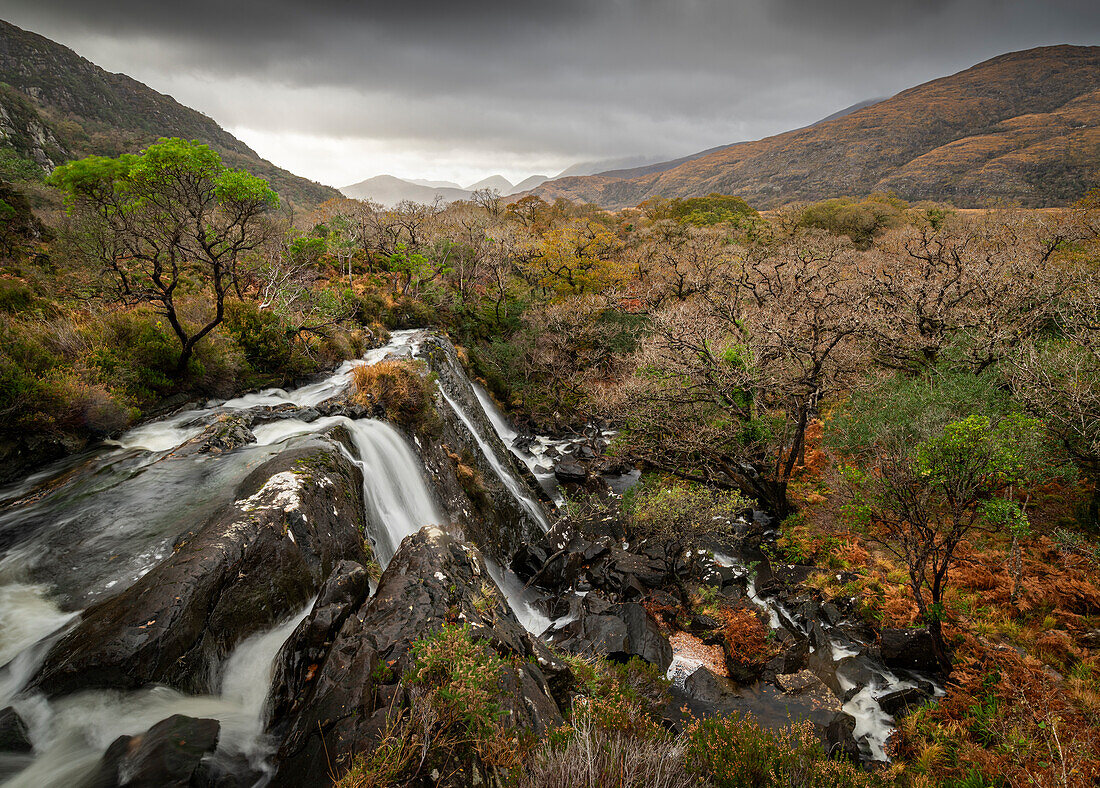 Waterfall and forest,Killarney National Park,County Kerry,Munster,Republic of Ireland (Eire),Europe