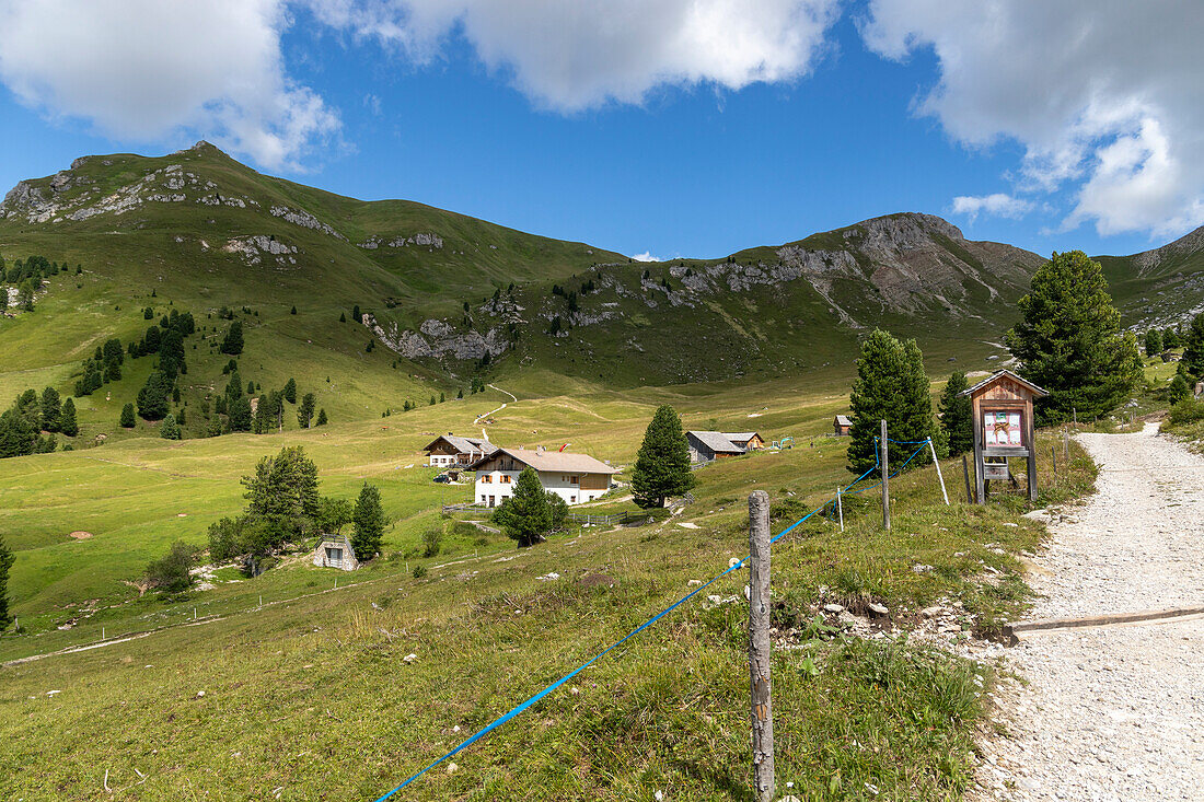 Naturpark Puez-Geisler,Val di Funes,Bezirk Bozen,Sudtirol (Südtirol),Italien,Europa