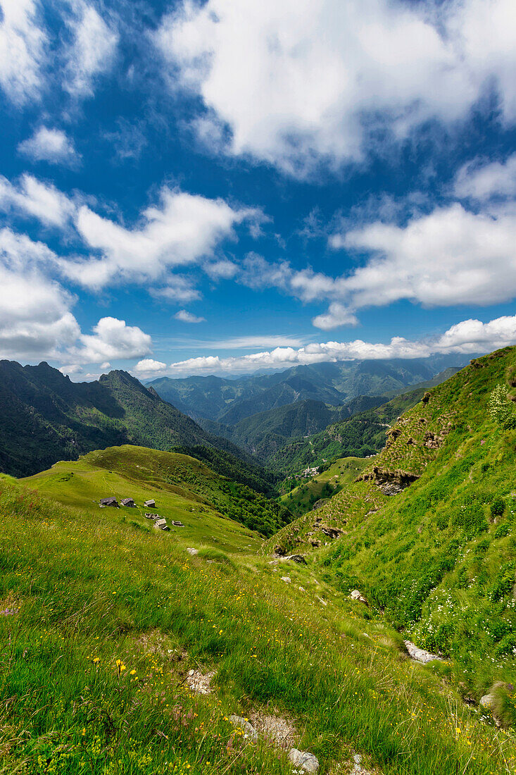 The bucolic landscape of Val Mastellone in summer,Rimella,Valsesia,Vercelli district,Piedmont,Italy,Europe