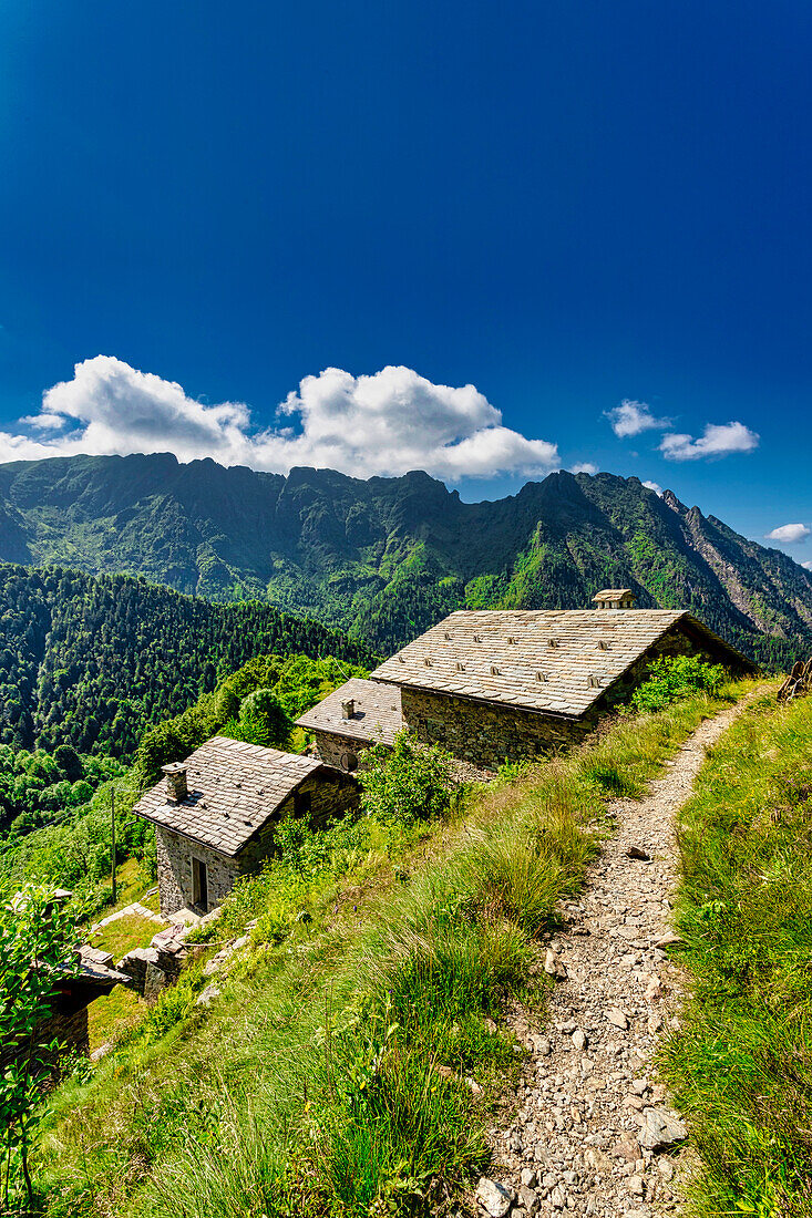 Die bukolische Landschaft des Mastellone-Tals im Sommer,Rimella,Valsesia,Bezirk Vercelli,Piemont,Italien,Europa