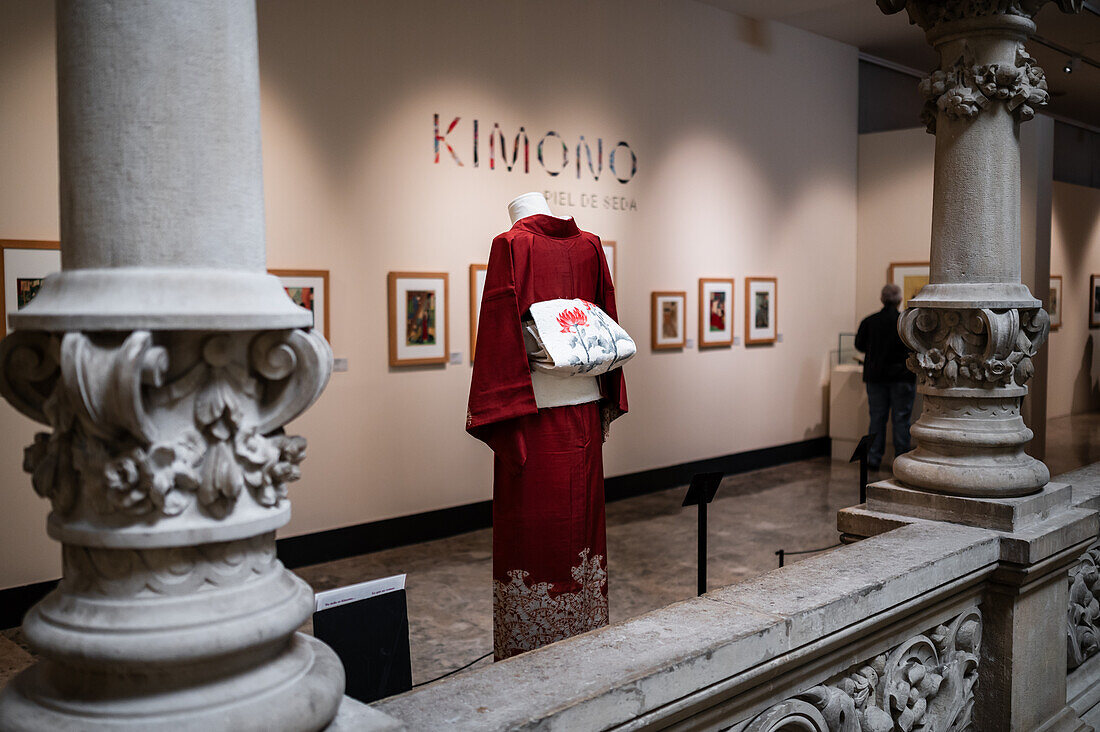 Kimono homongi from Taisho Era with tsumugi silk dyed with shibori technique. Nagoya Obi from middle Showa age with hige tsumugi silk decorated with katazome technique.