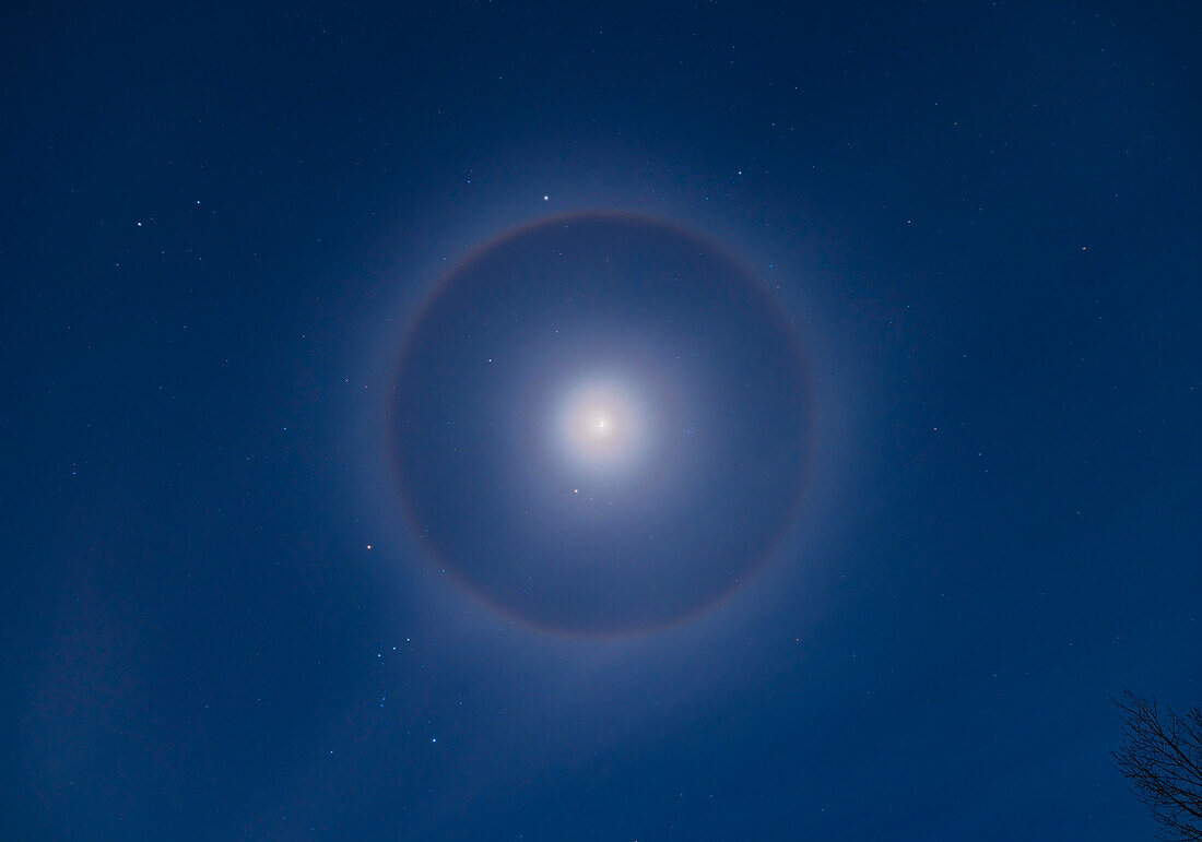 An ice crystal halo around the waxing gibbous Moon set in the winter stars of a January night. The 22° halo is most obvious and with a reddish and sharply defined inner rim and a bluish and more diffuse outer edge. But a faint 8° halo is also visible,a rare halo sometimes called the Van Buijsen Halo (according to Lynch and Livingston in their book Color and Light in Nature; Minnaert also mentions it in his seminal book The Nature of Color and Light in the Open Air). It is not a lens flare as shots taken with the Moon well off to one side of the frame still show the inner halo centred on the Mo