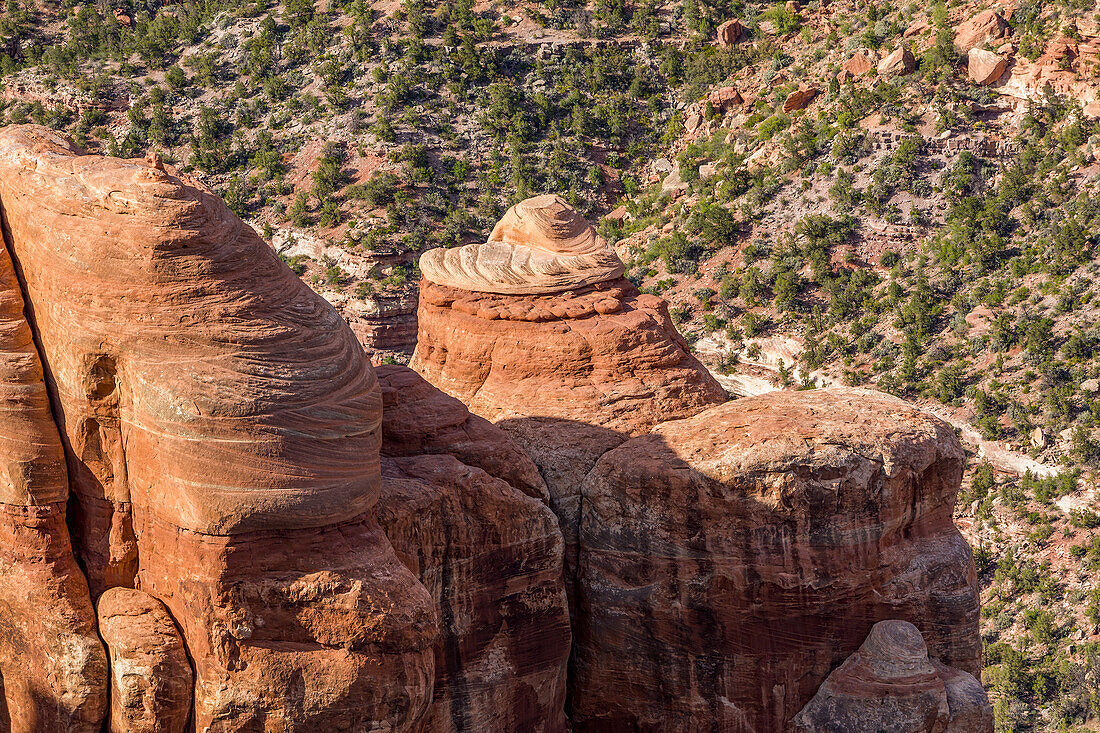 Erodierte Sandsteinformationen im Arch Canyon unterhalb des Arch Canyon Overlook. Shash Jaa Einheit, Bears Ears National Monument, Utah.